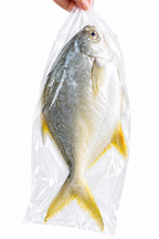 Frozen Gold Pompano Fish- per pound